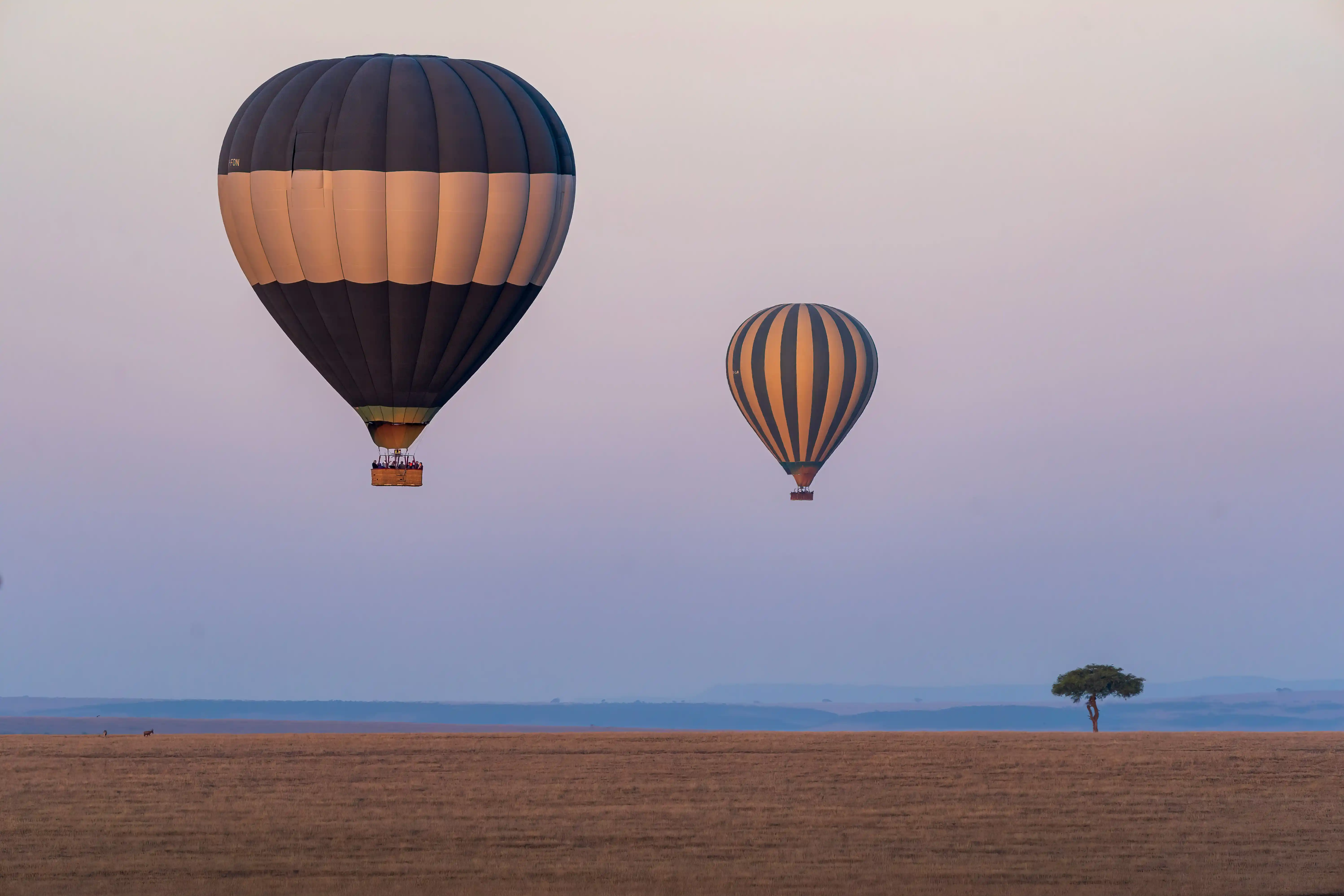 Safari hot-air balloons over the Serengeti